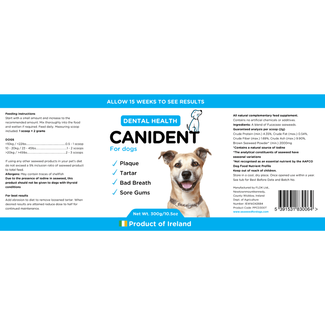 Canident