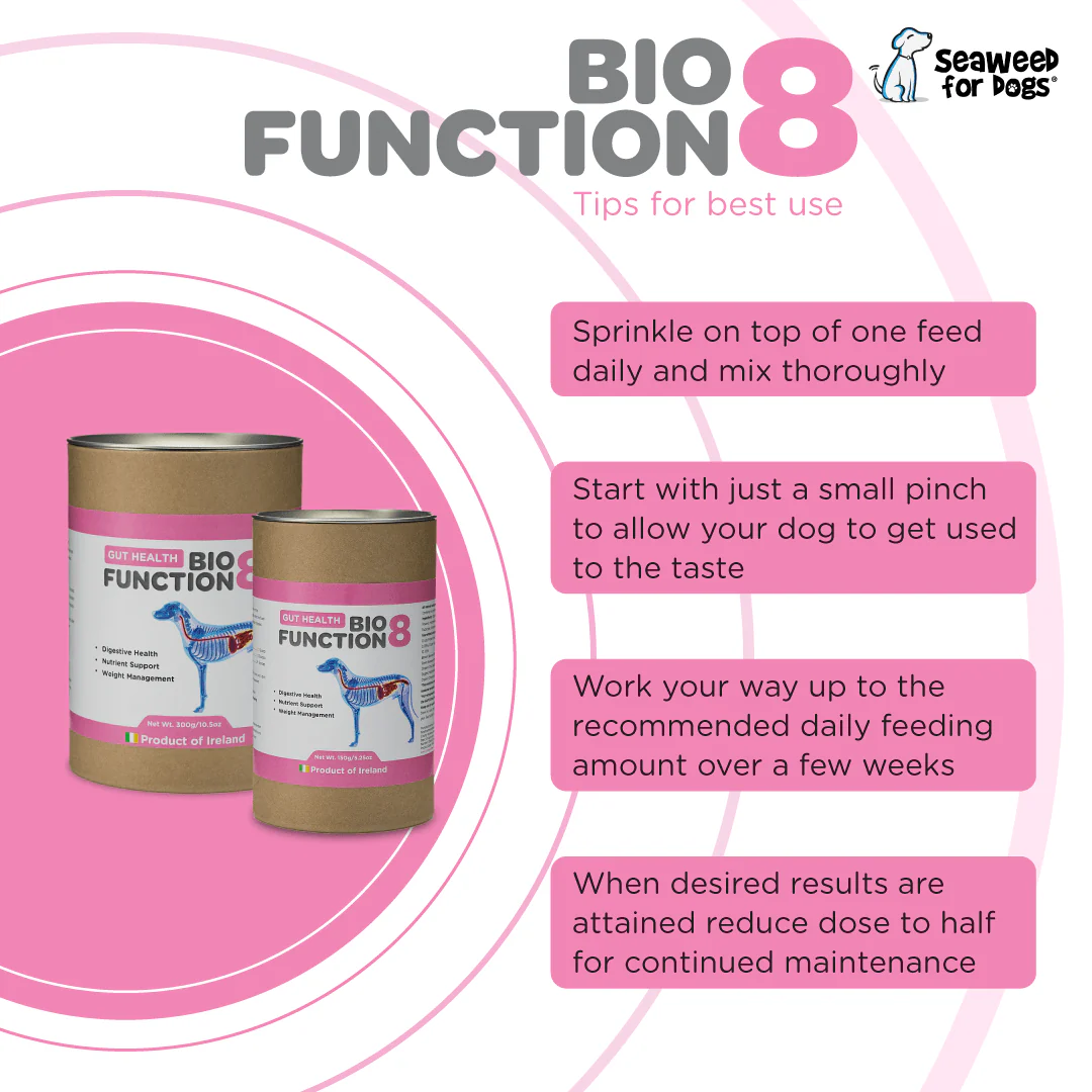 Biofunction8 Gut Soother Blend