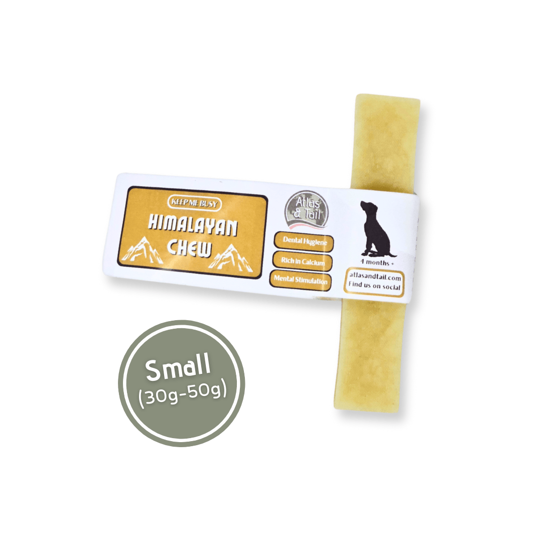 Small Atlas and Tail Himalayan Chew for dogs