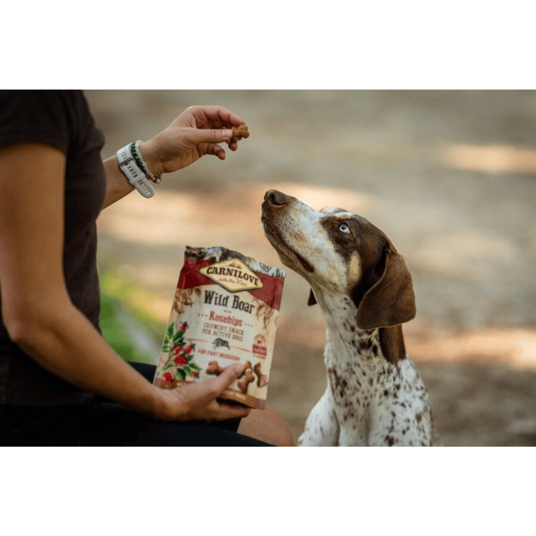 Carnilove Wild Boar with Rosehips Treats