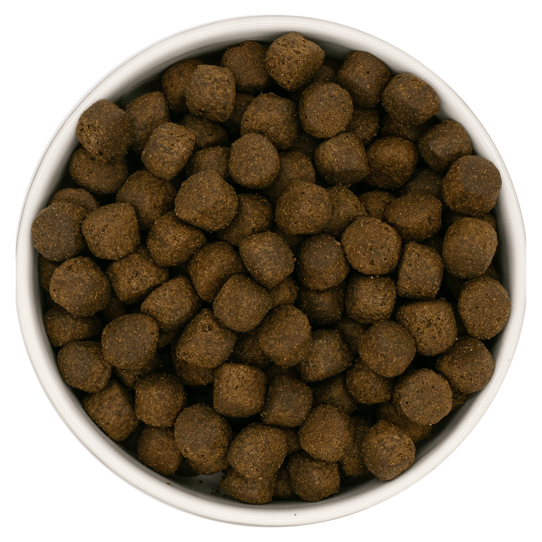Nourish Rite Grain Free Large Breed Puppy Food - Salmon