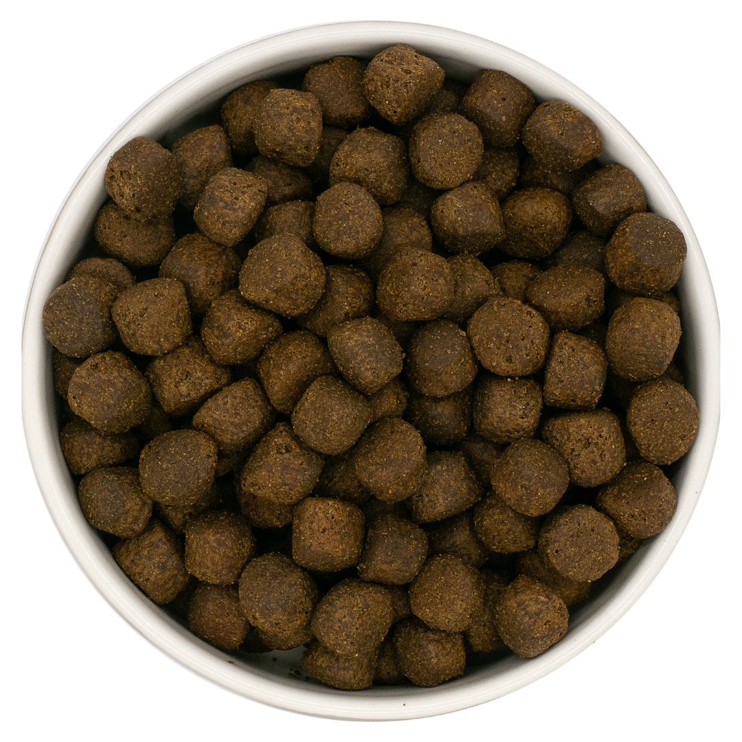 Nourish Rite Grain Free Large Breed Puppy Food - Salmon