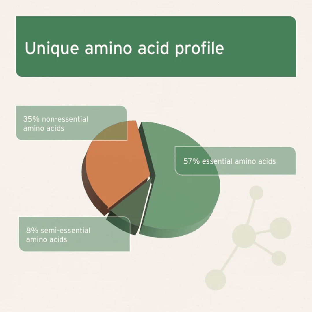 An infographic from Aniforte explaining the different types of amino acids in a pie chart. This s the Amino Acid Profile of the Aniforte Bovine Blood Powder 250g.