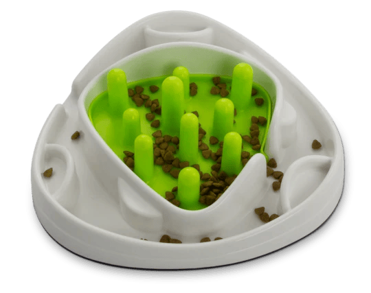 Interactive Food Maze for Dogs