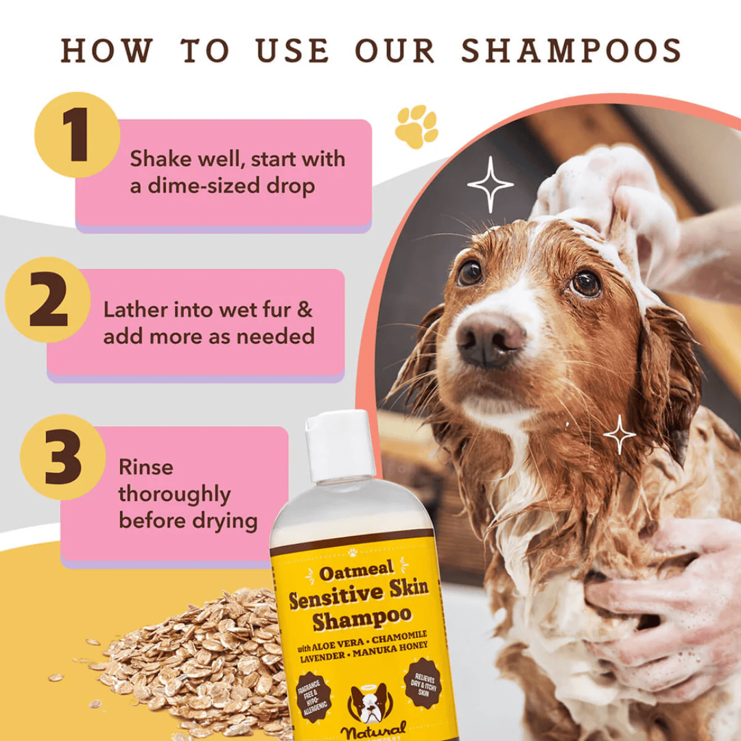 How to use the Natural Dog Company Oatmeal Sensitive Skin Shampoo in three easy steps