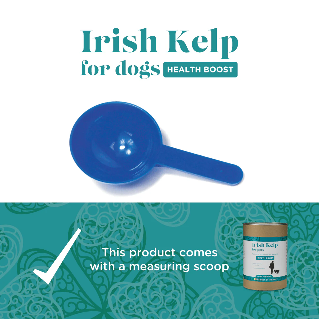 Organic Irish Kelp