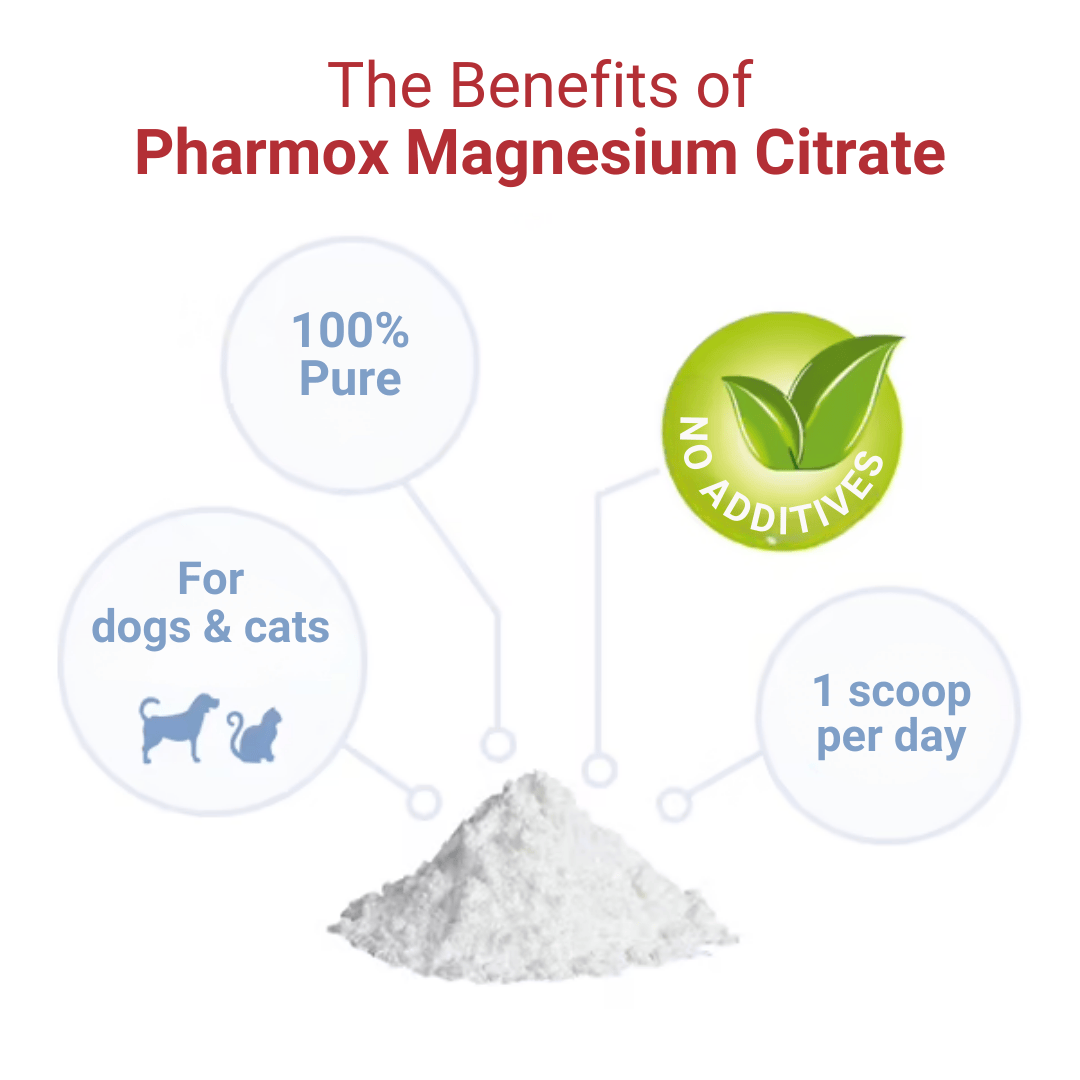 The Benefits of Pharmox Magnesium Citrate for Cats and Dogs