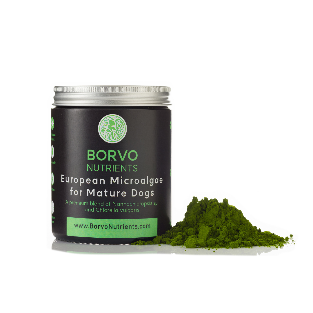 MicroAlgae for Mature Dogs - Borvo Nutrients