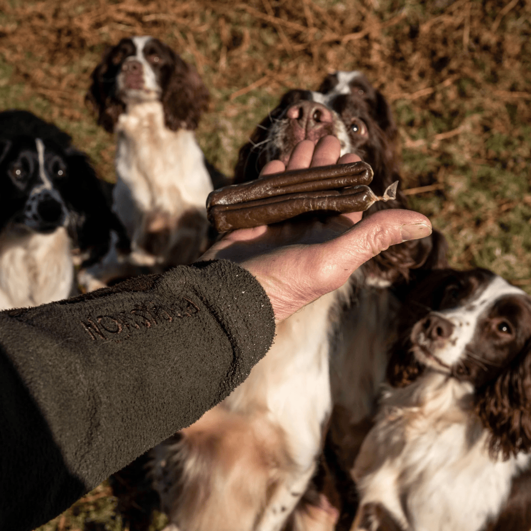 Innocent Hound Dental Support Sausages