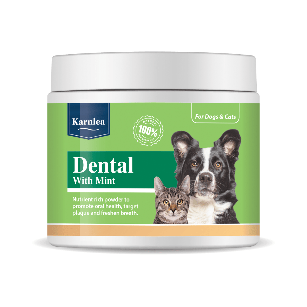 Karnlea Dental with Mint Topper 200g against a white background.