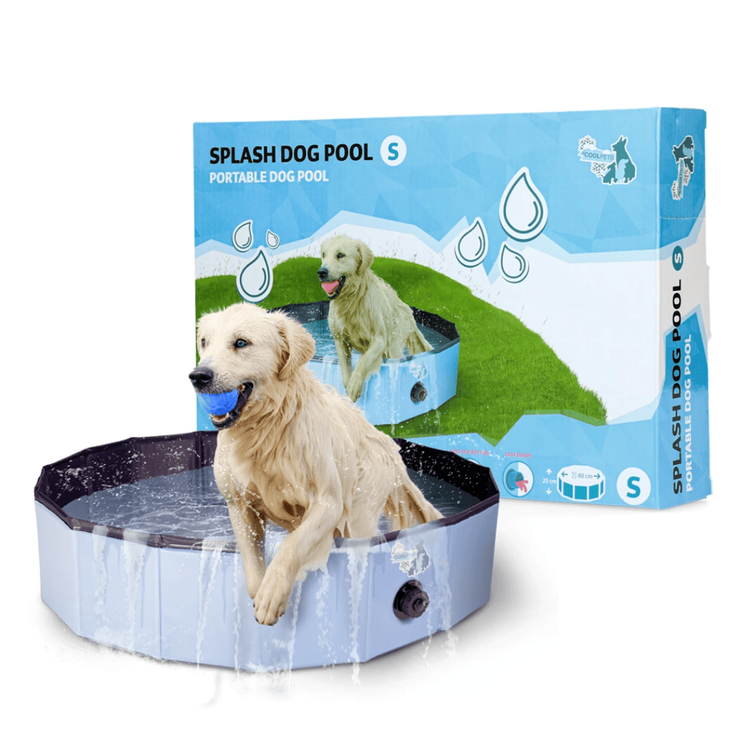 Paddling Pool for Dogs