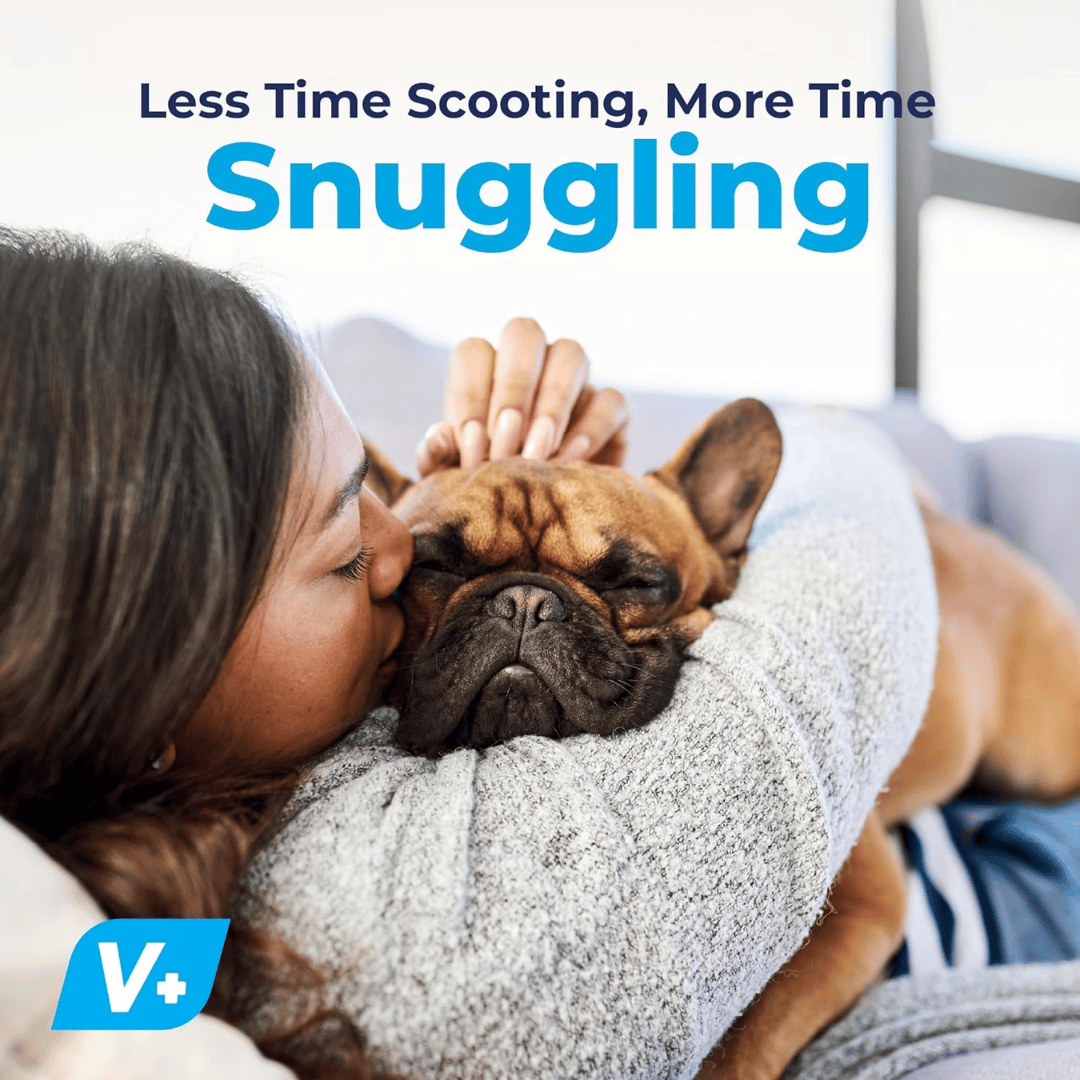 A french bulldog laying on a woman, below the text "Less Time Scooting, More Time Snuggling".