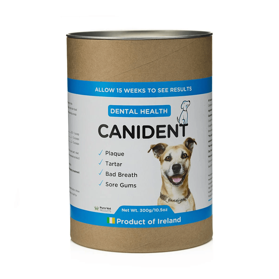 Canident