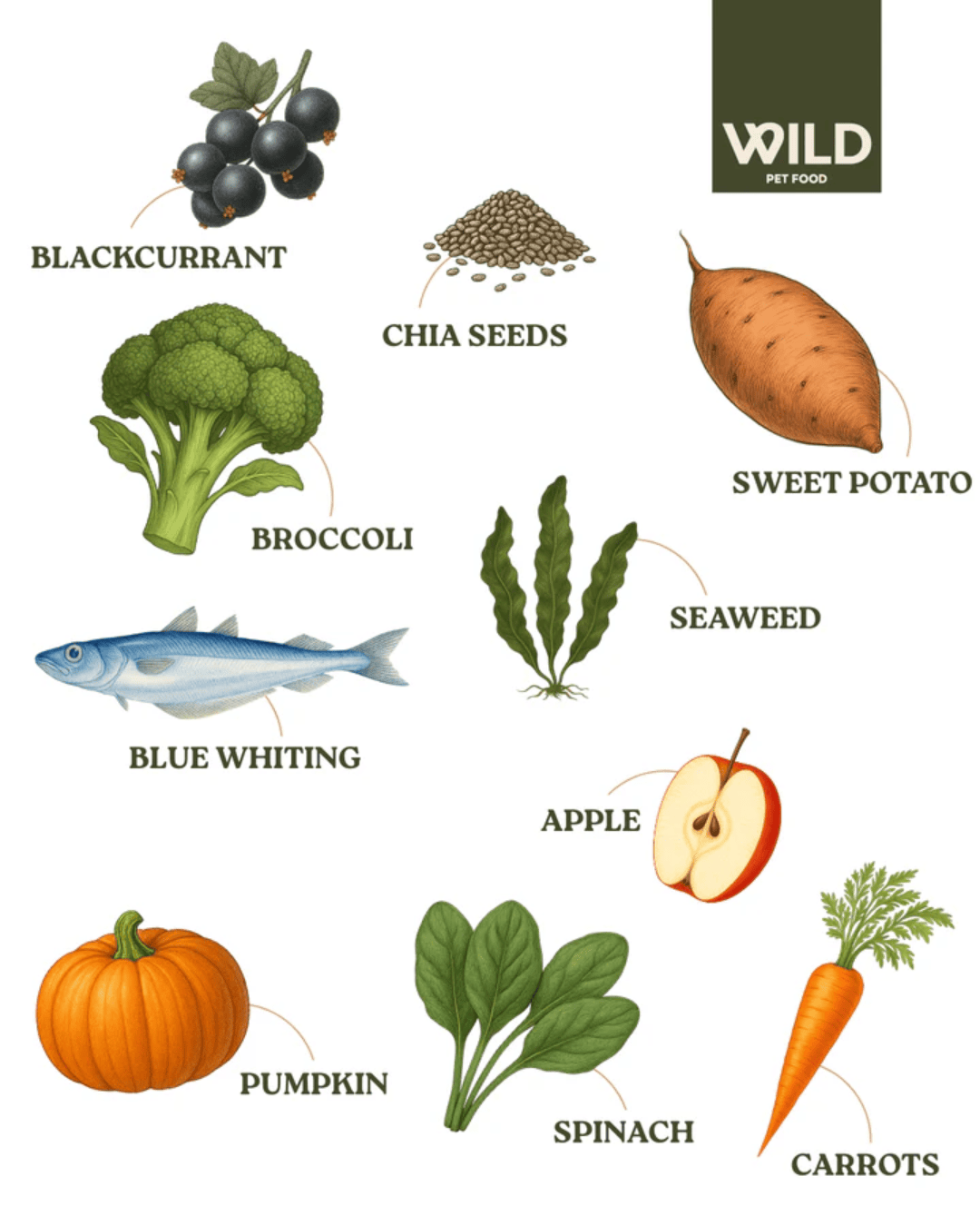 Wild 80:20 Fish Cold Pressed Dog Food