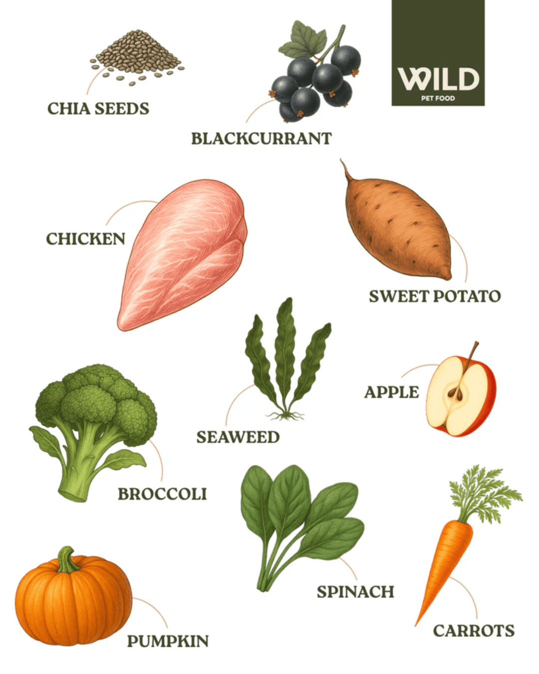 Wild 80:20 Chicken Cold Pressed Dog Food