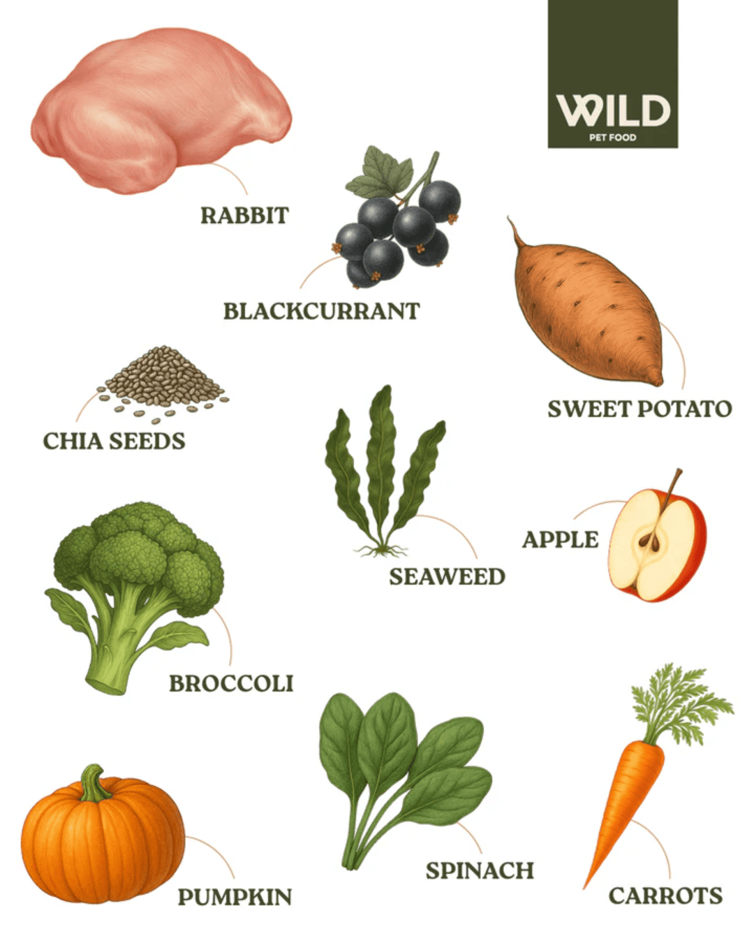 Wild 80:20 Rabbit Cold Pressed Dog Food