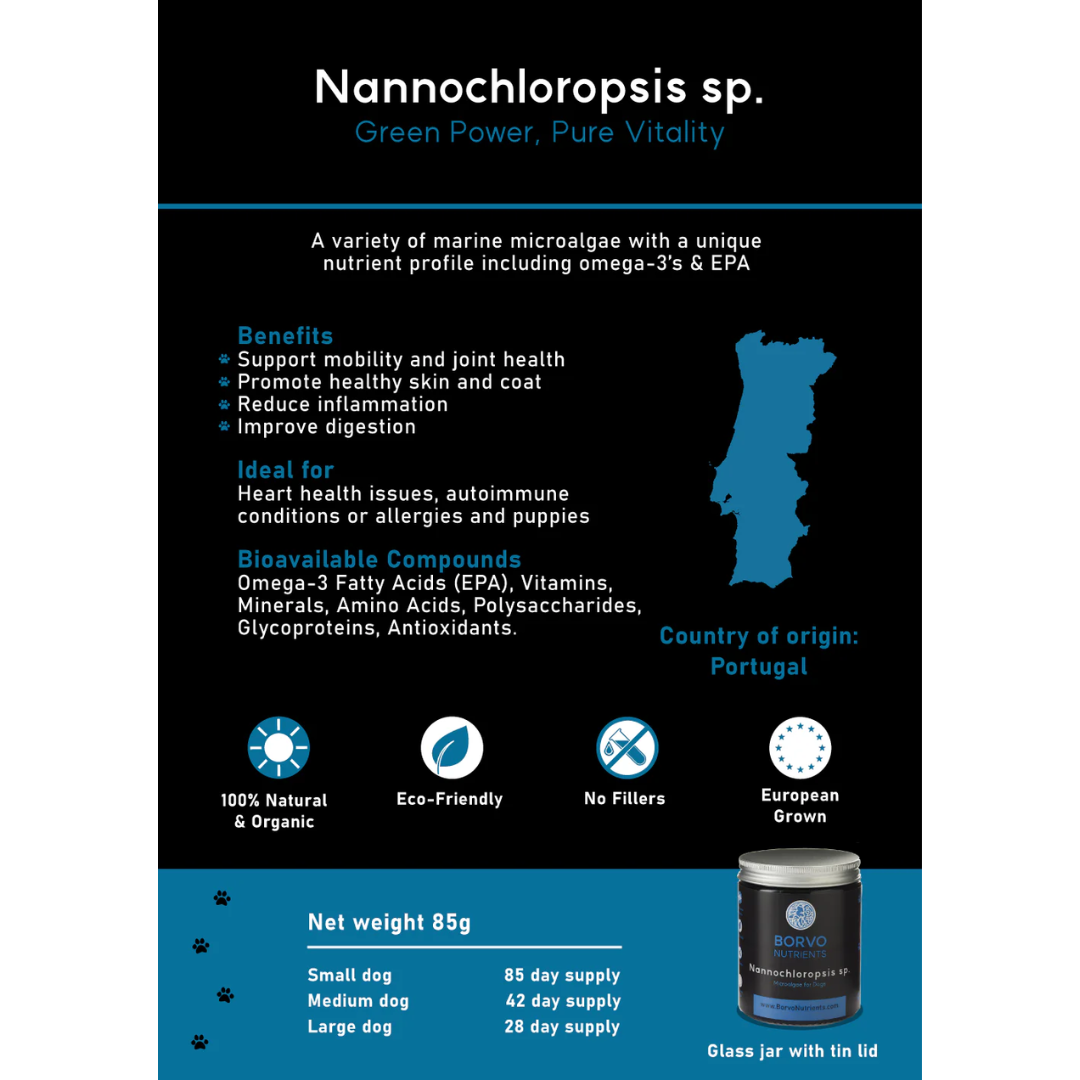 Nannochloropsis Sp. for Dogs - Borvo Nutrients
