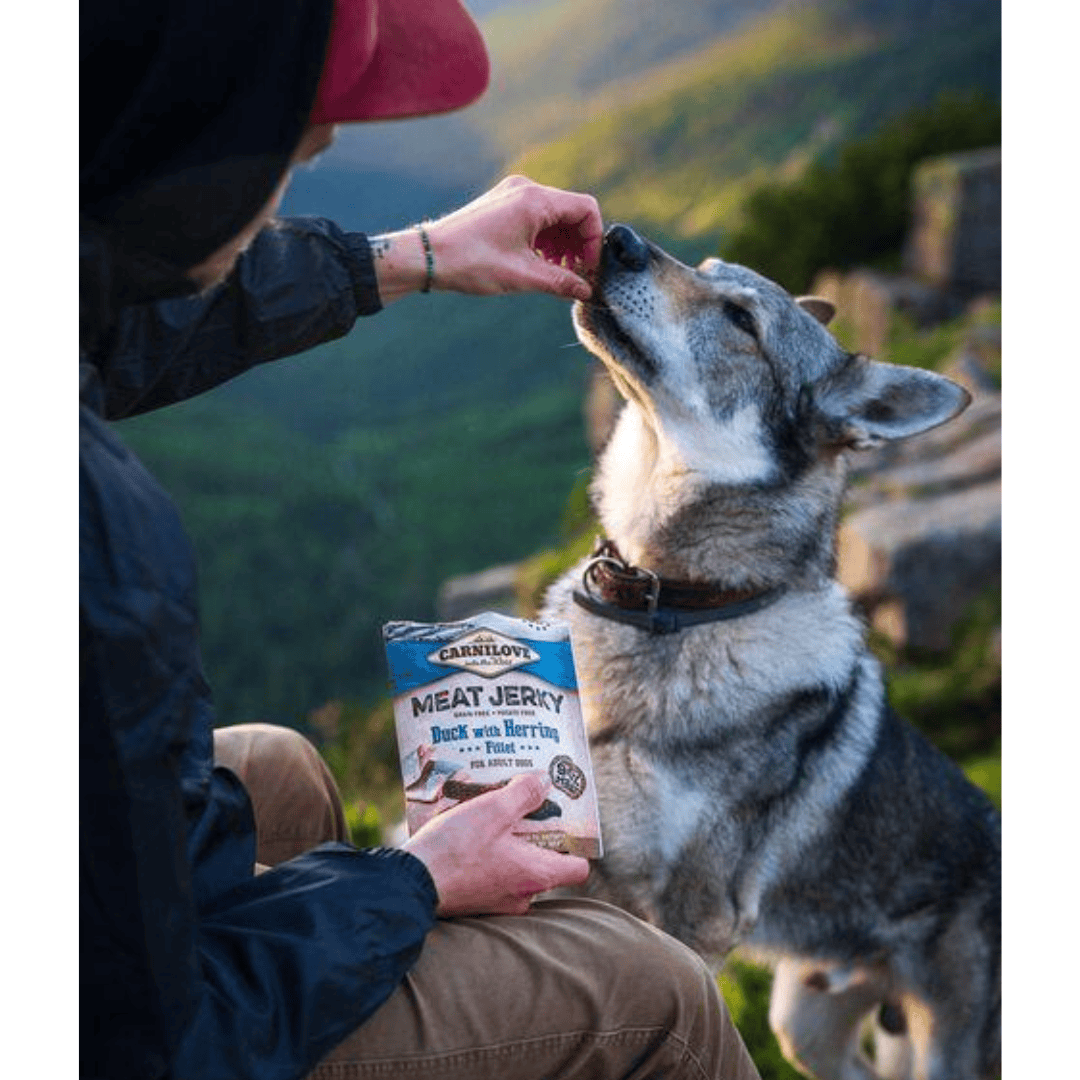 A owner feeding their dog a Duck with Herring Jerky Dog Treat. They are on a mountain range with a view behind them.