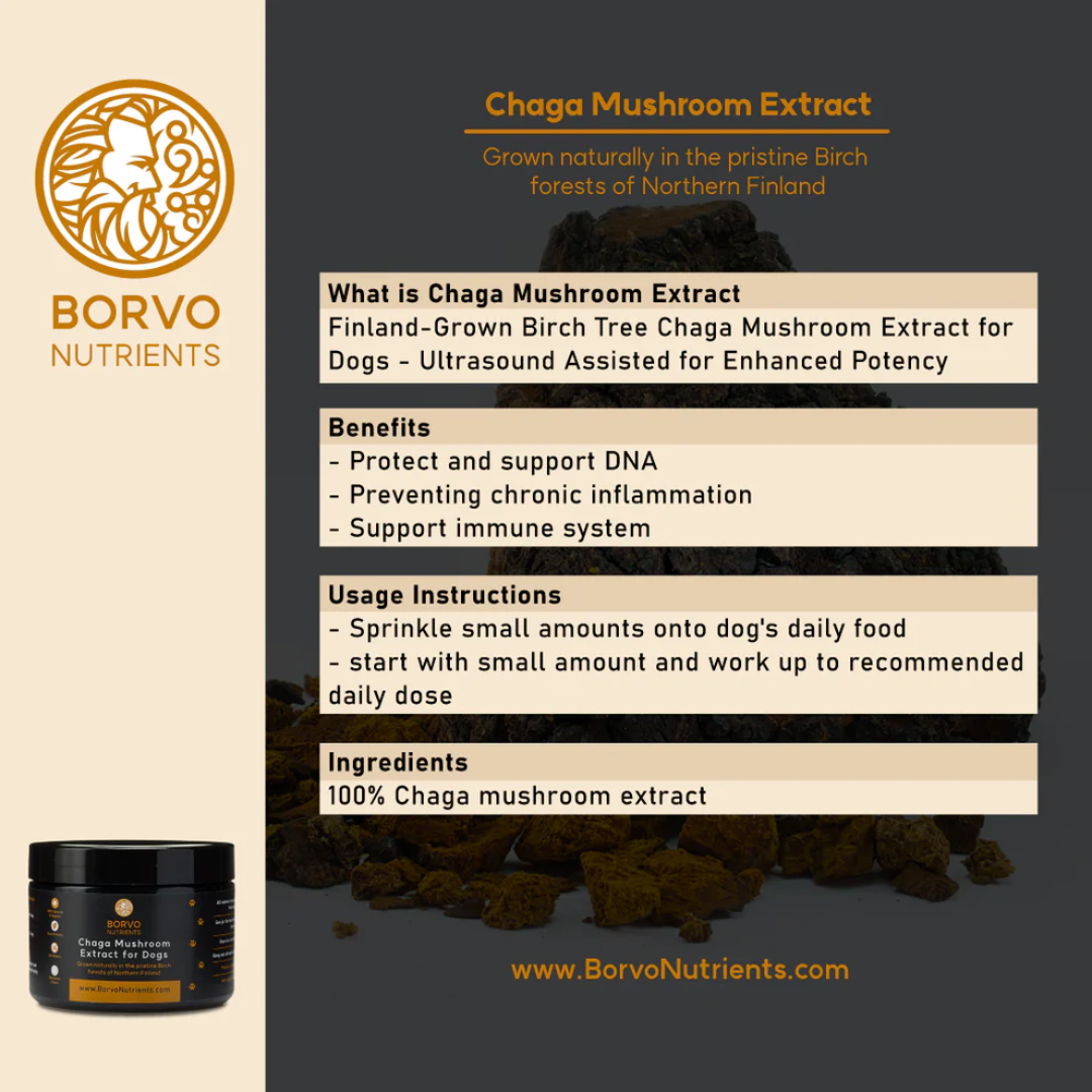 Chaga Mushroom Extract for Dogs - Borvo Nutrients