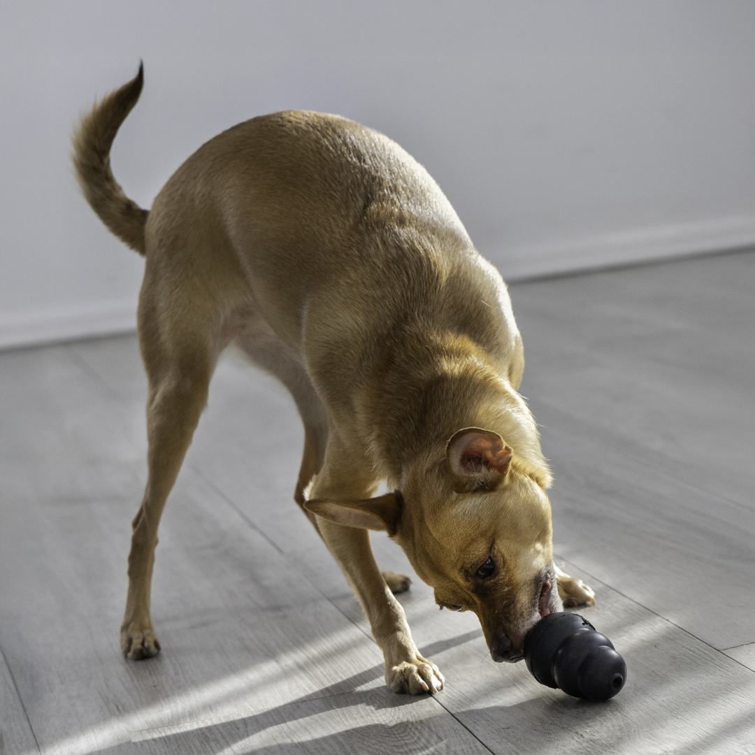 Kong Extreme Dog Toy