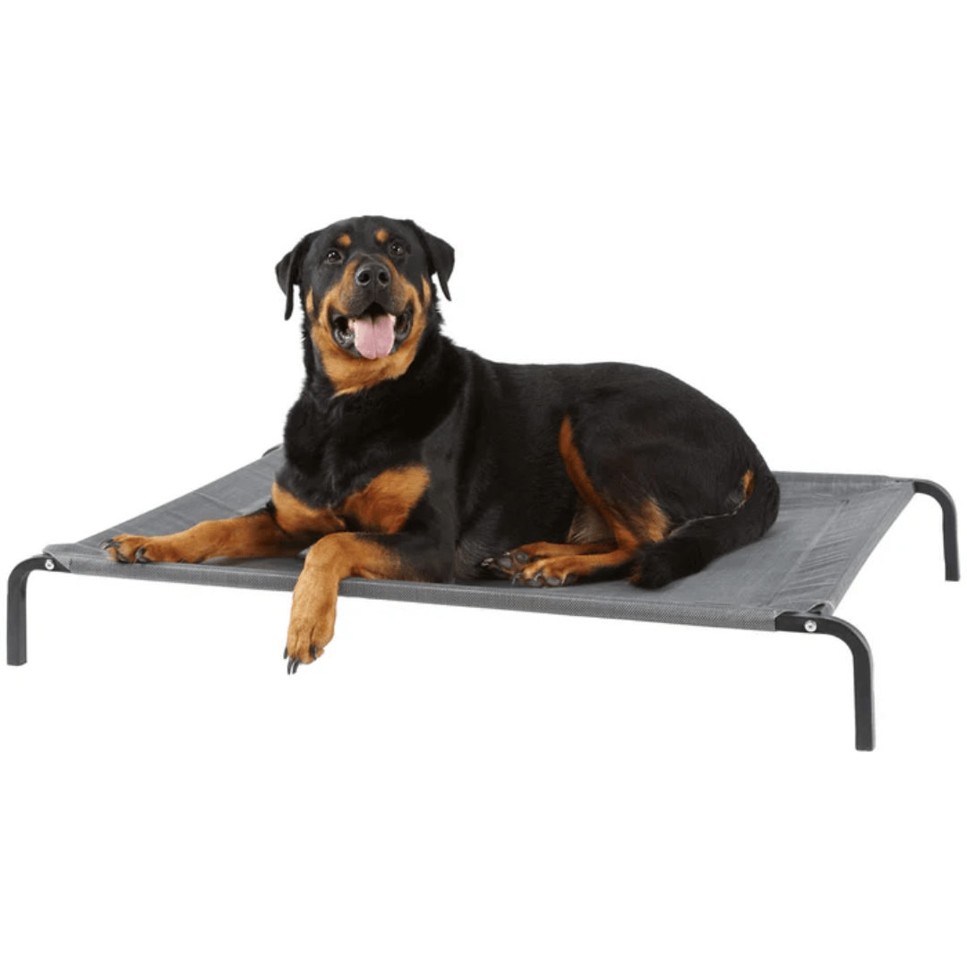 Elevated Dog Bed