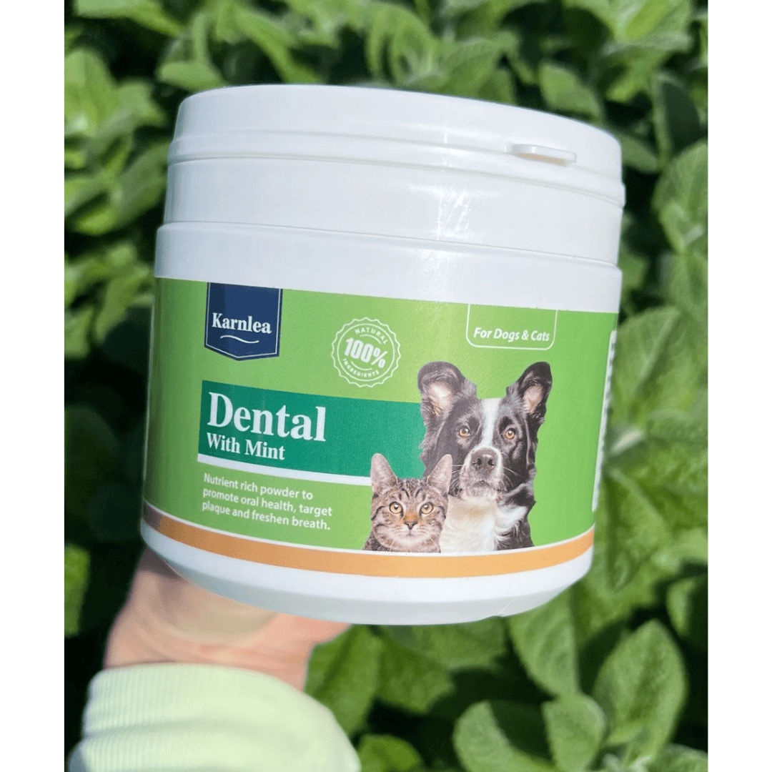 Karnlea Dental with Mint Topper 200g in someone's hand. There are leaves
