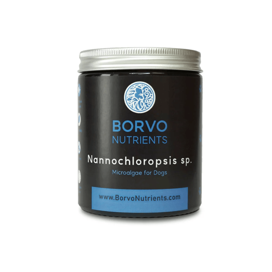 Nannochloropsis Sp. for Dogs - Borvo Nutrients