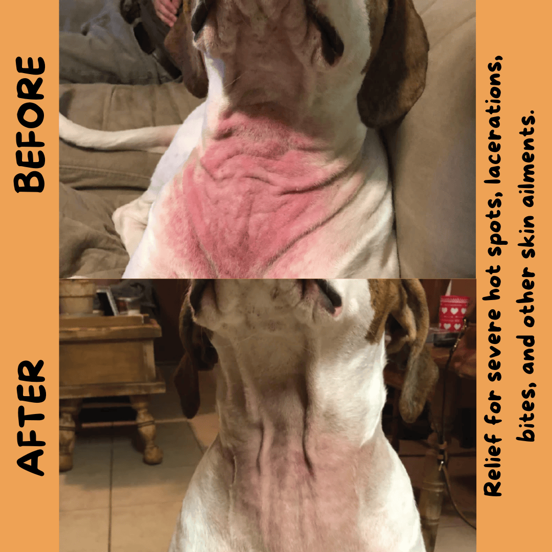 A before and after photo of a customer who used this product on their dog.