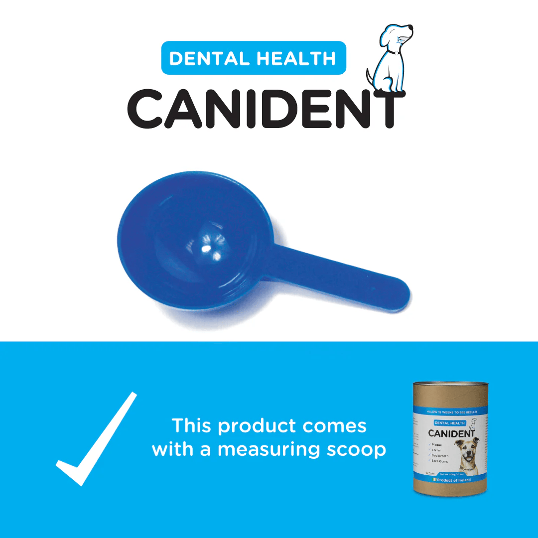 Canident