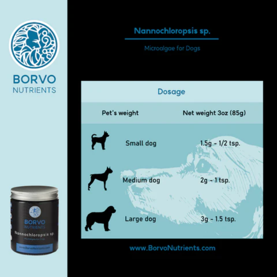 Nannochloropsis Sp. for Dogs - Borvo Nutrients