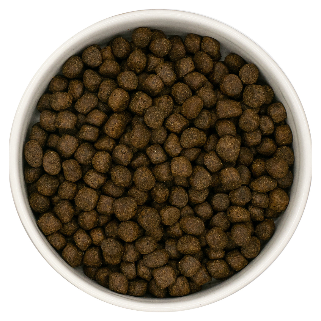 Nourish Rite Grain Free Puppy Food - Salmon