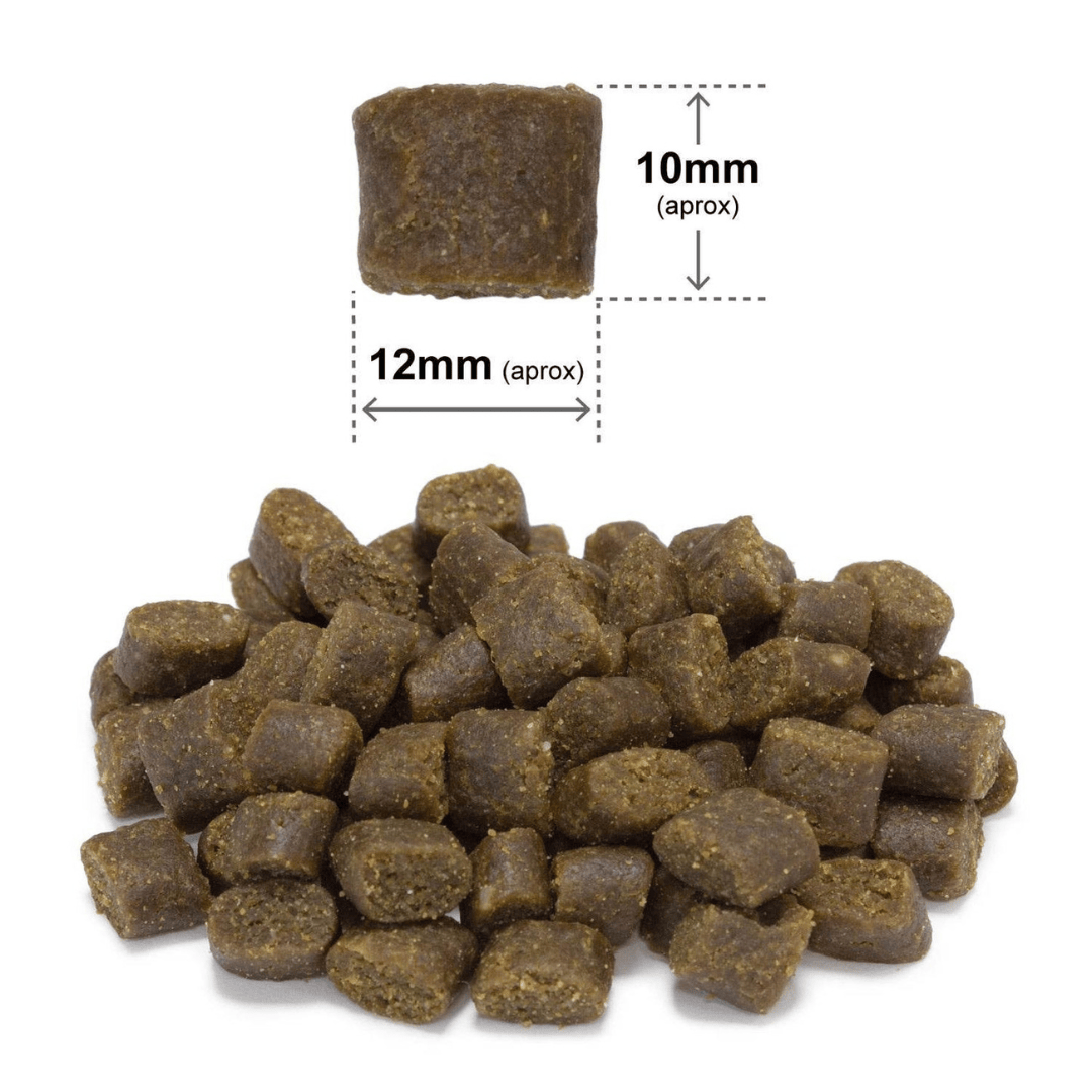 Arquivet Fresh Ocean Fish - Semi Moist Cold Pressed Dog Food