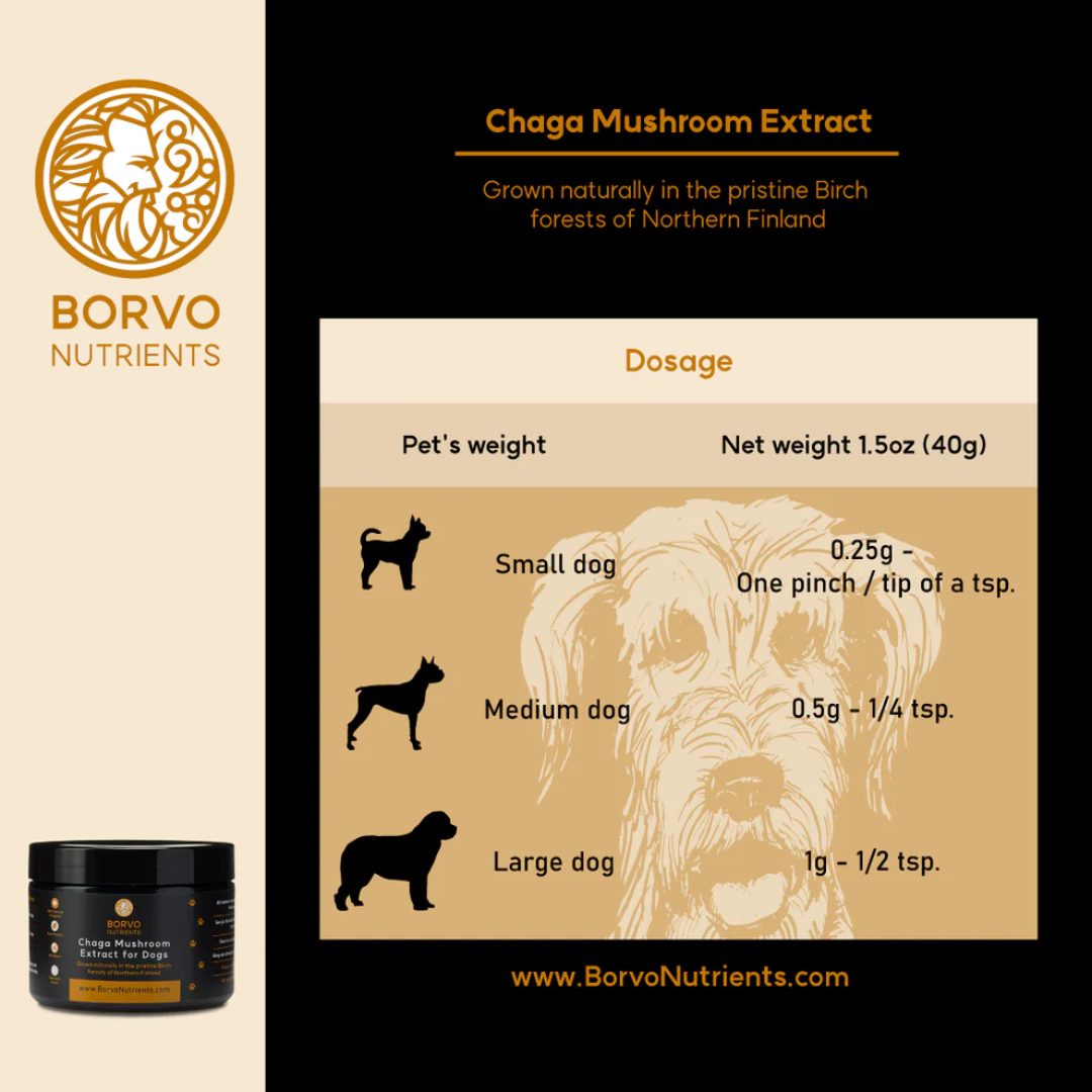 Chaga Mushroom Extract for Dogs - Borvo Nutrients