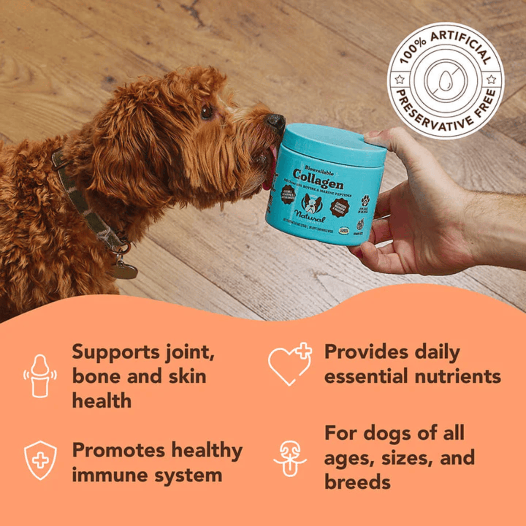 Natural Dog Company Collagen Supplement Chews