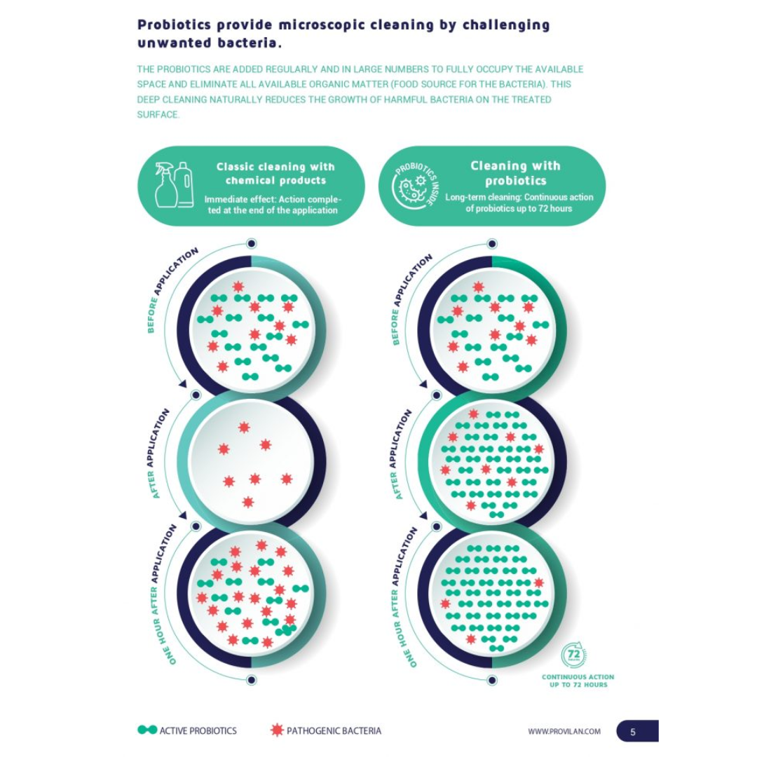 Probiotic Floor Cleaner Concentrate (1:100) - Provilan Clean