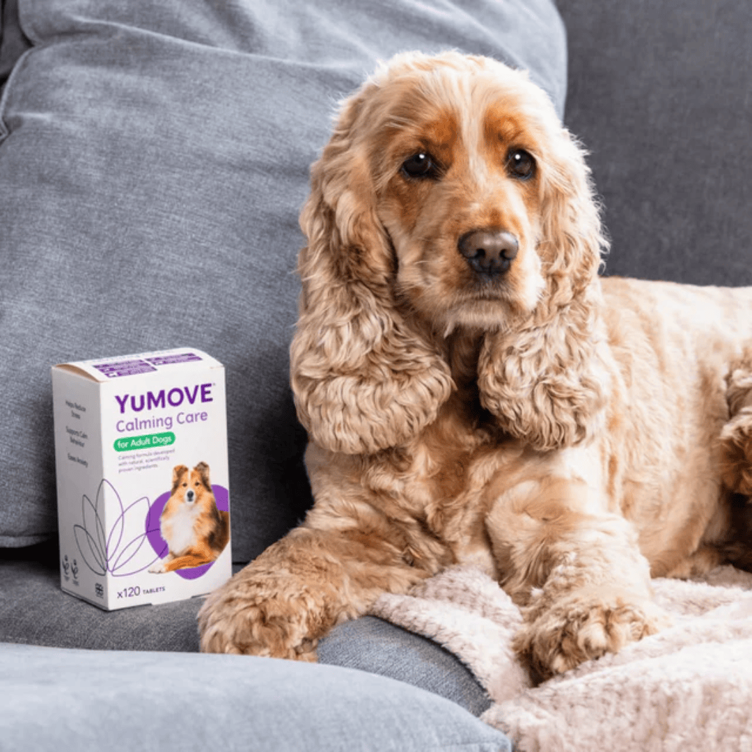 Yucalm Tablets for Dogs
