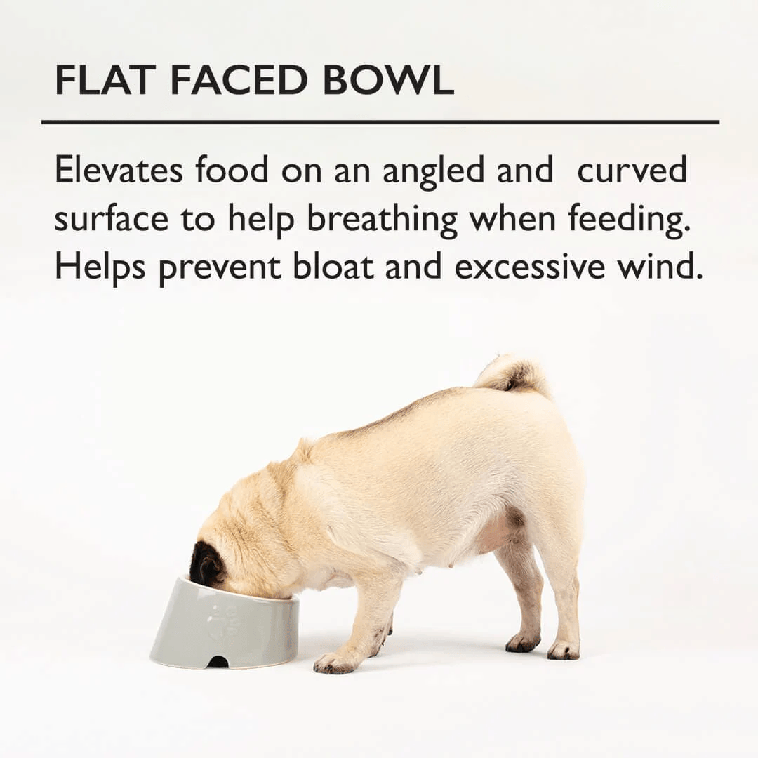 Flat faced bowl - Elevated food on an angled curved surface to help breathing when feeding. Helps prevent bloat and excess wind.