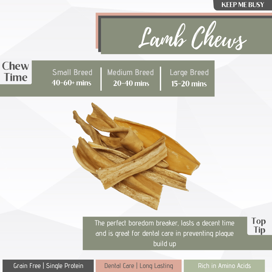 Infographic explaining the benefits of feeding lamb chews