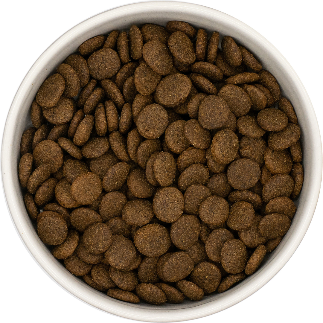 White ceramic bowl of Nourish Rite Grain Free Adult Dog Food in Turkey