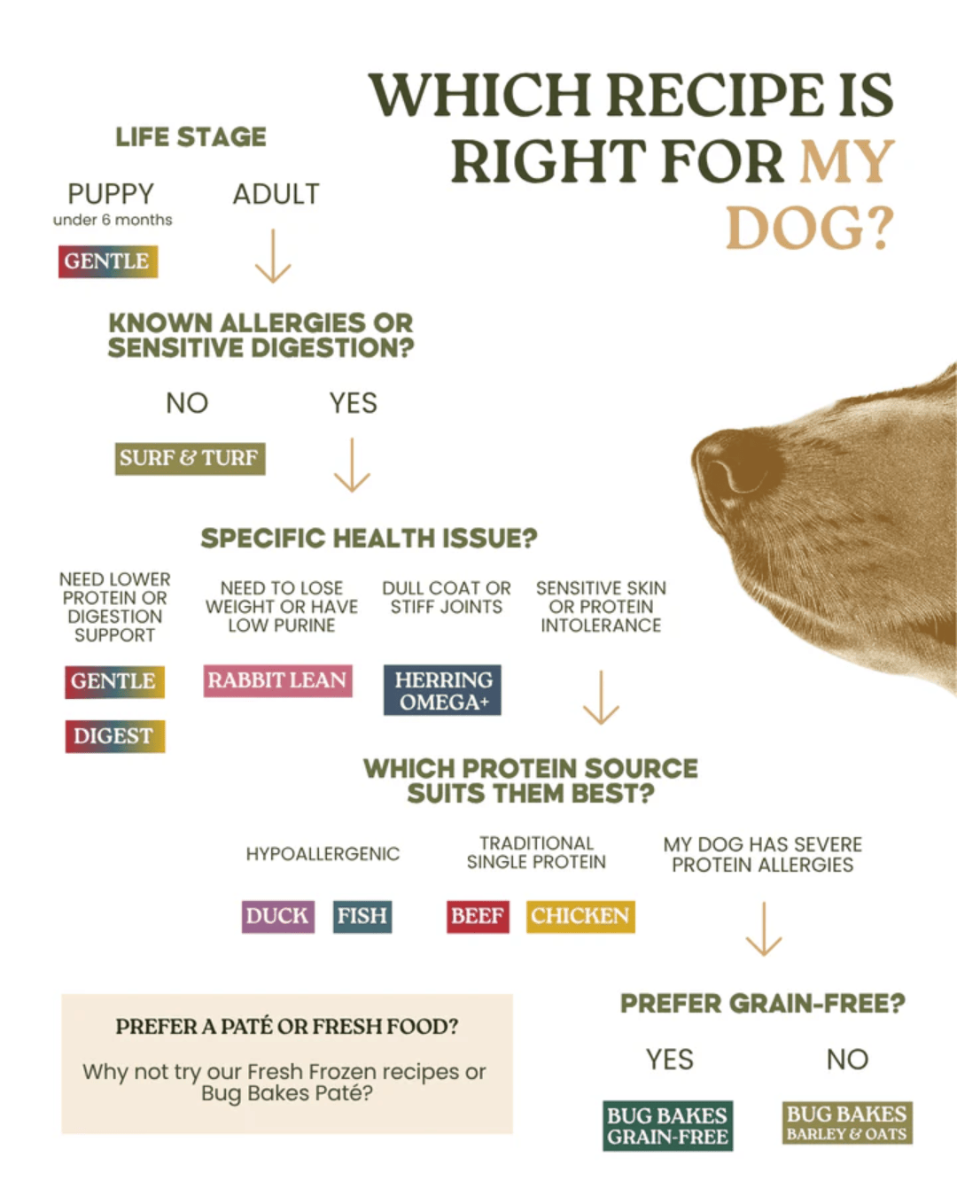 Wild 80:20 Rabbit Cold Pressed Dog Food
