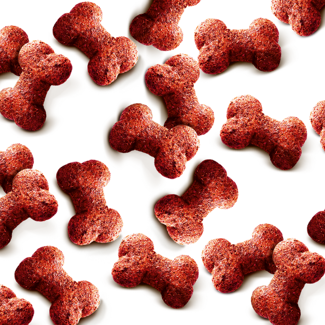 Carnilove Duck with Raspberries Cat Treats