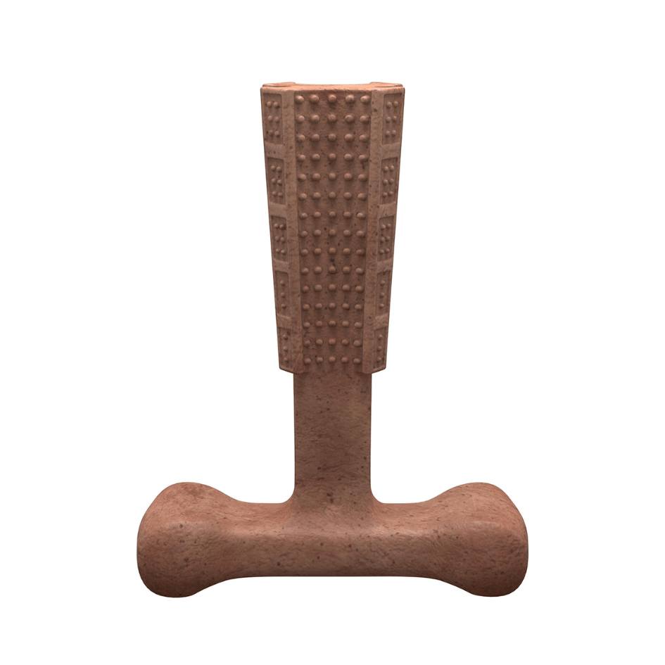 Bamboodles T-Bone Dog Chew - Roast Chicken