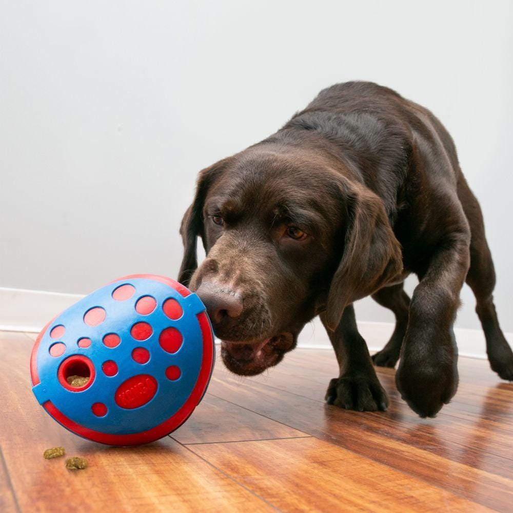 Kong Rewards Wally - Dog Treat Dispenser
