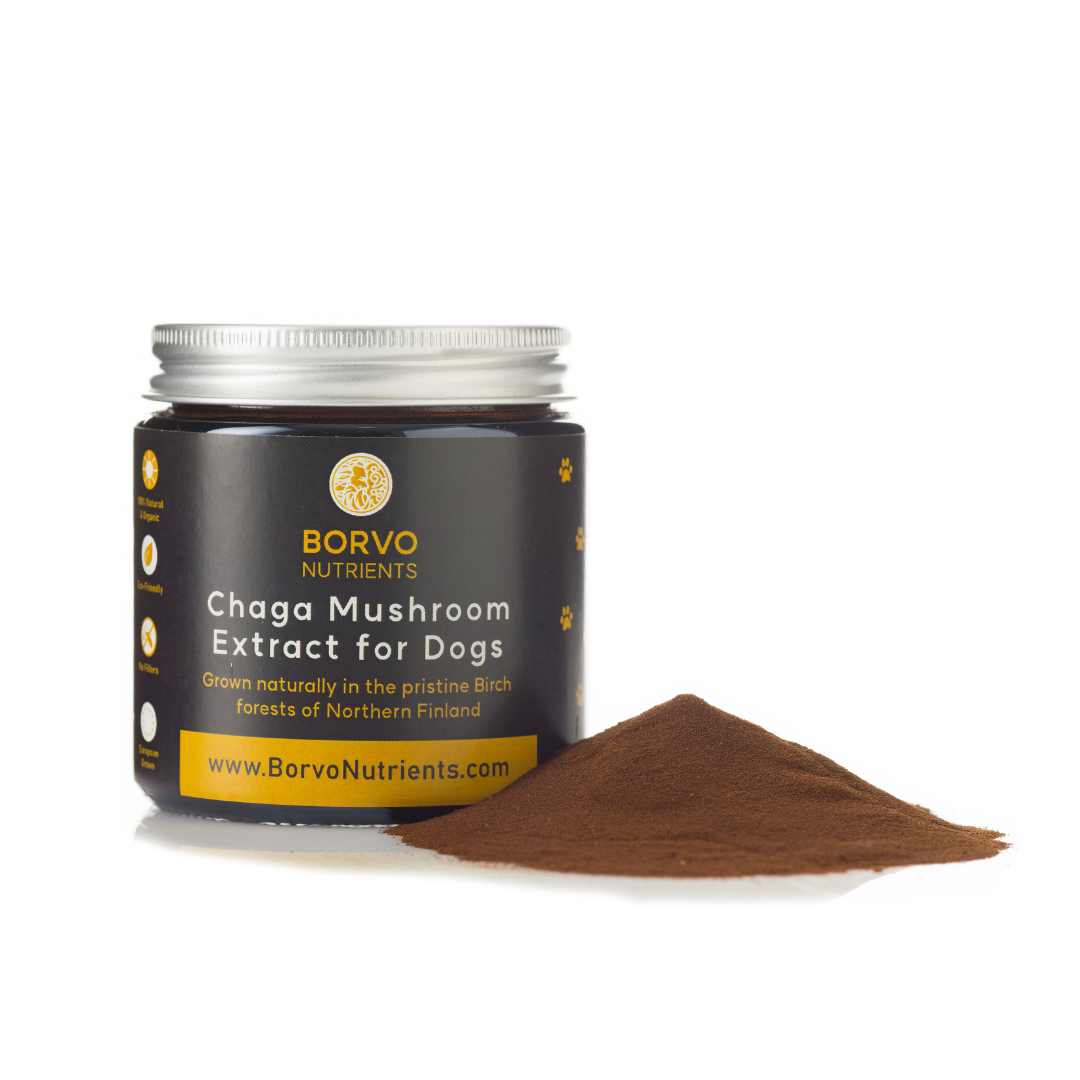 Chaga Mushroom Extract for Dogs - Borvo Nutrients