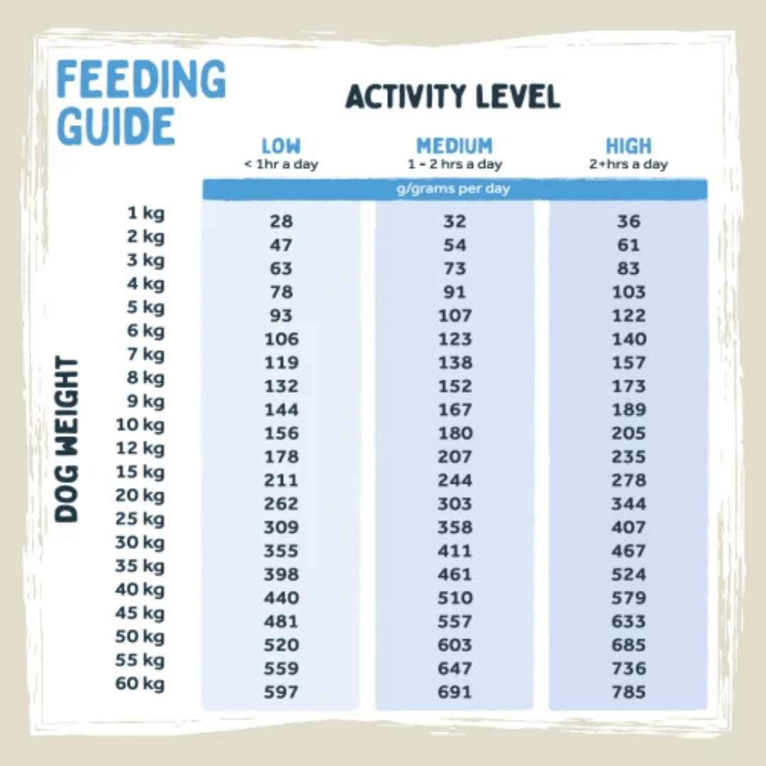 A dog feeding activity guide chart showing weight ranges from 1 kg to 60 kg, with columns for low, medium, and high activity levels and calories in grams per day.