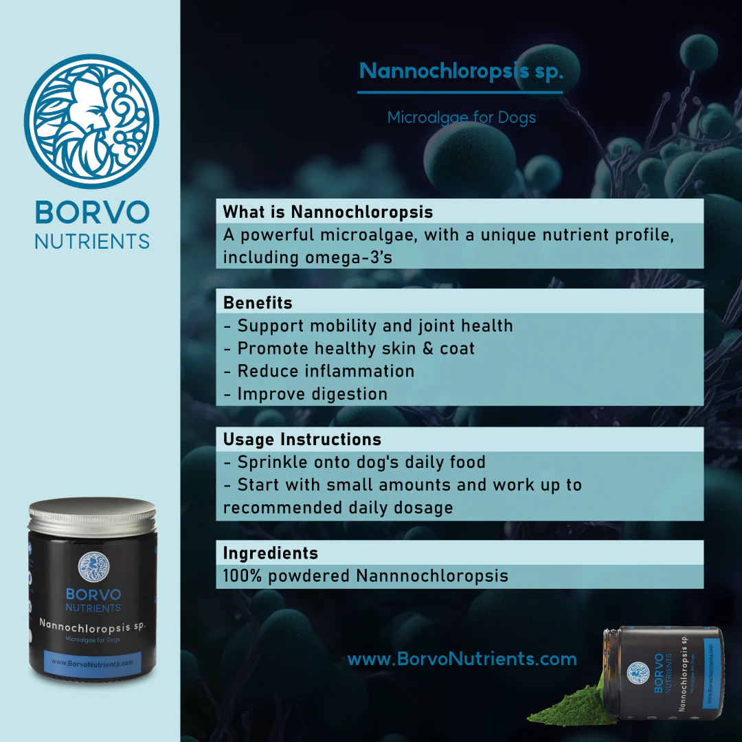 Nannochloropsis Sp. for Dogs - Borvo Nutrients