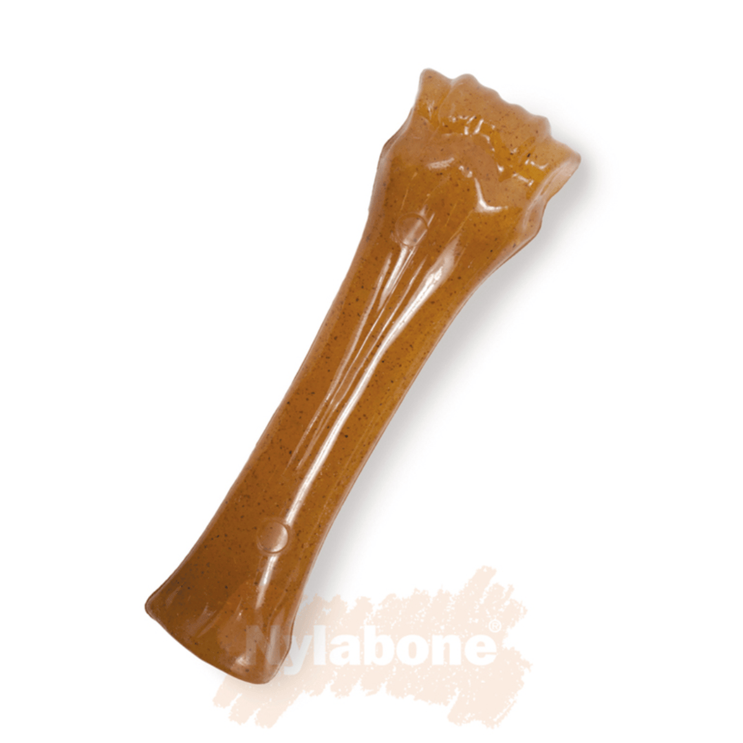 Nylabone Puppy Bone XL
