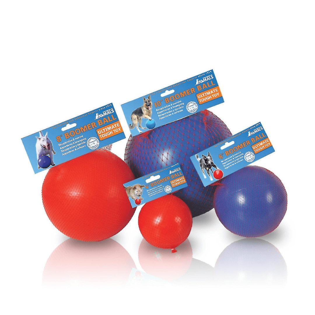 Boomer Ball for Dogs