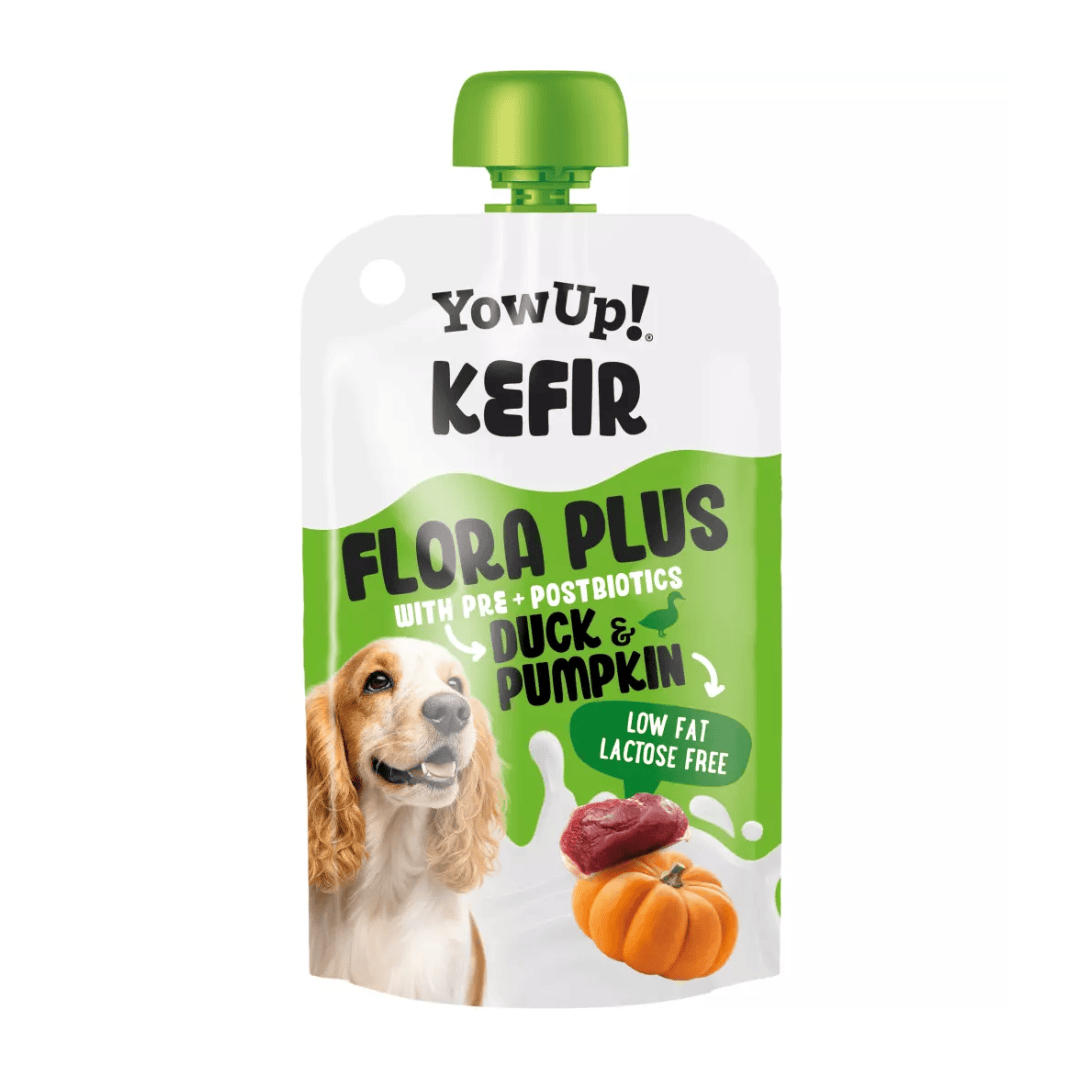 YowUp! Kefir Duck and Pumpkin