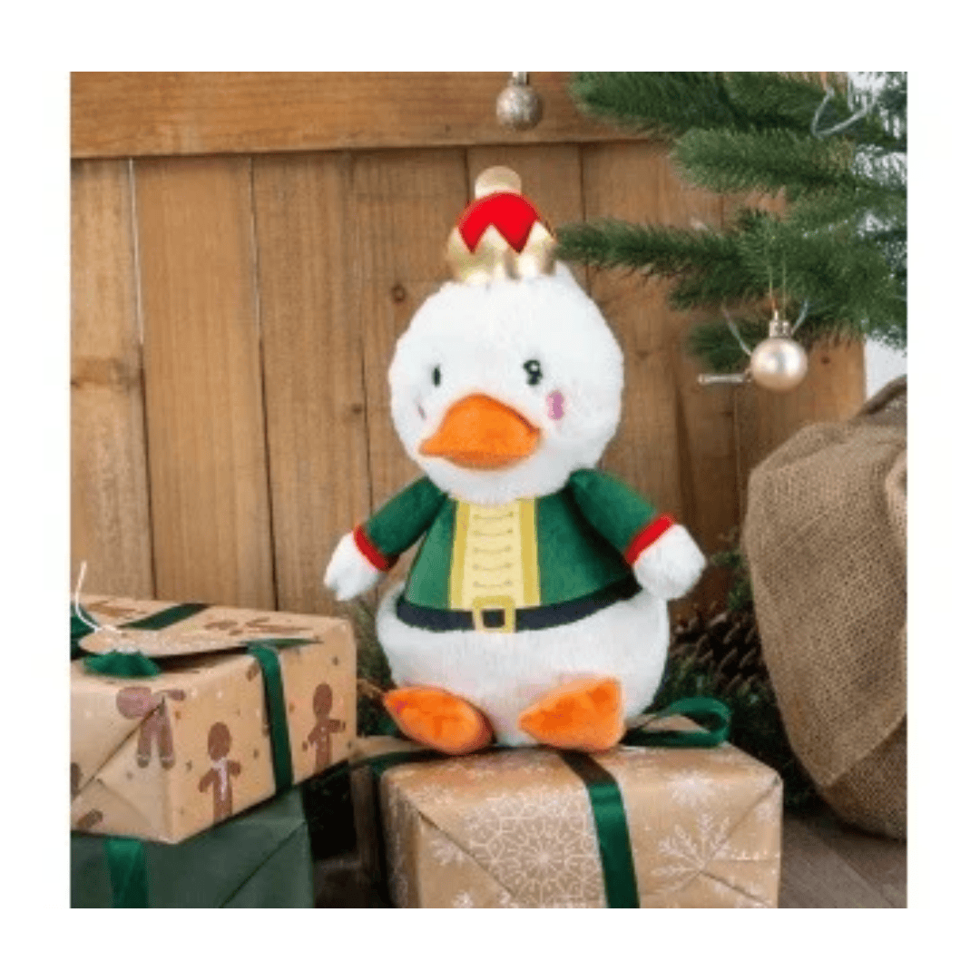 Ancol Nut Quacker